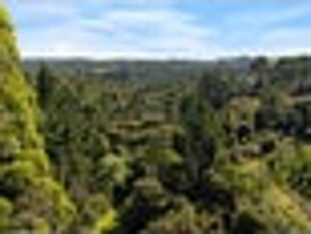 Land for sale in Kawau Island