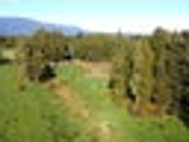 Land for sale in Westport