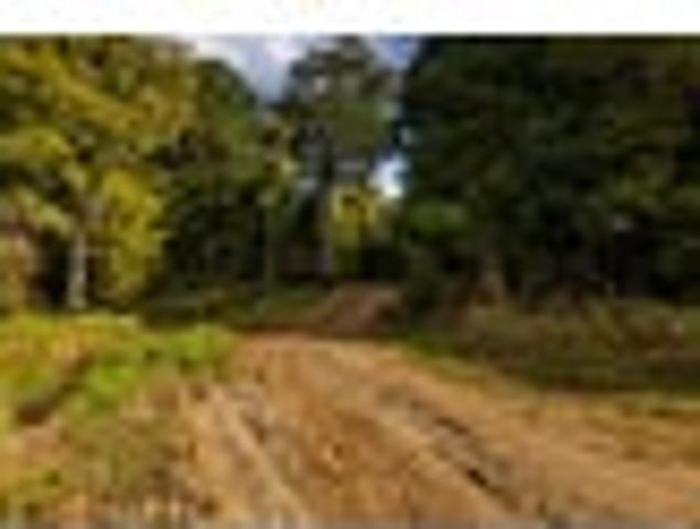 Land for sale in Karetu, Northland