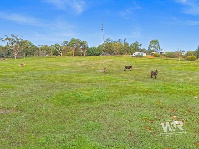 Land for sale in Mount Barker, Western Australia