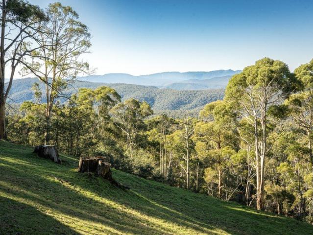 Cottage for sale in Tolmie, Victoria