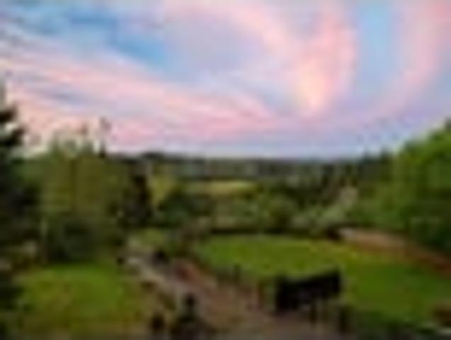 House for sale in Onewhero, Auckland