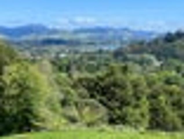 Land for sale in Coromandel, Waikato