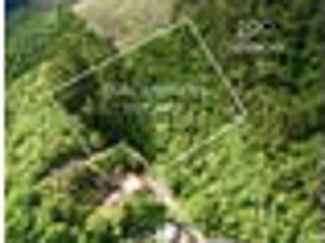 Land for sale in Lake Rotoma, Bay Of Plenty