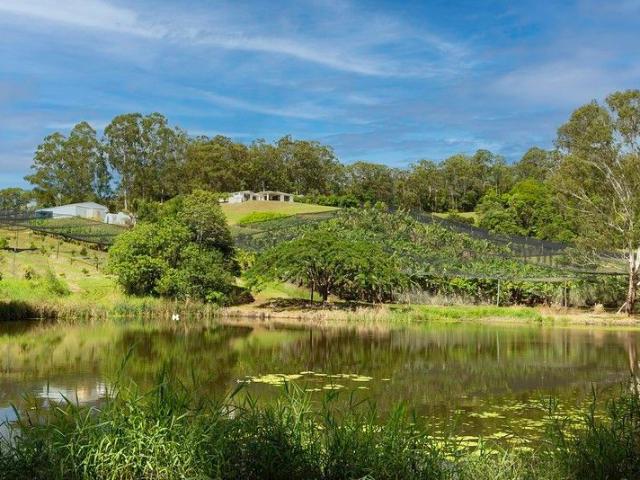 Cottage for sale in Kings Creek, Queensland