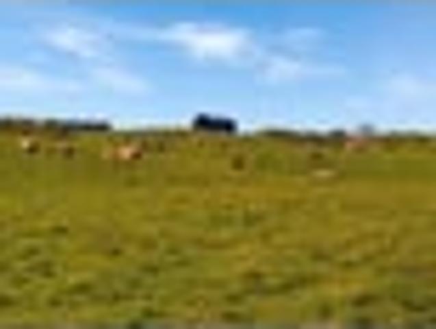 Land for sale in Otakou