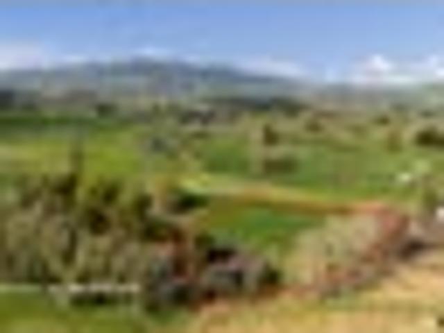 Land for sale in Waikato
