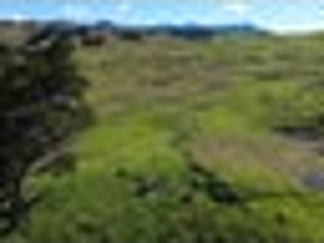Land for sale in Northland