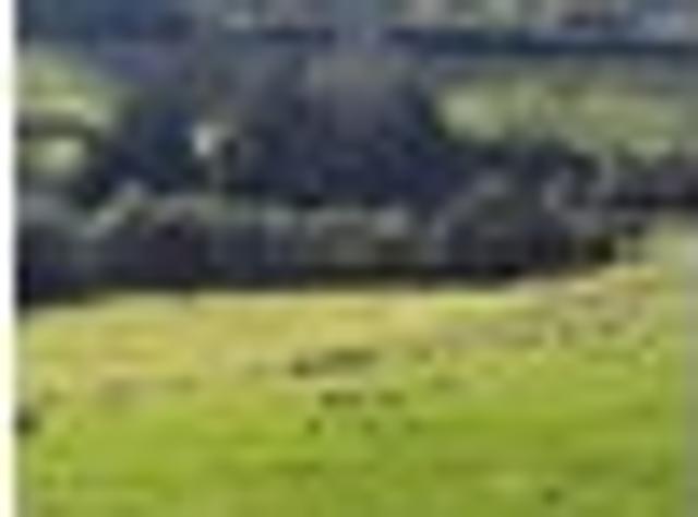 Land for sale in Bay Of Plenty