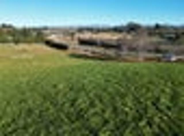 Land for sale in Otakou
