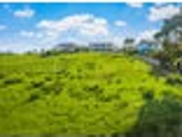 Land for sale in Kawau Island