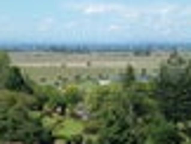 Land for sale in Napier