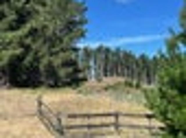 Land for sale in Horowhenua District