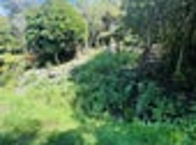 Land for sale in Omiha