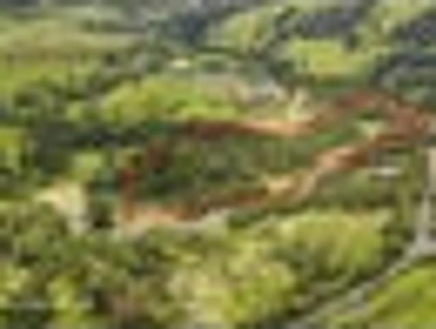 Land for sale in Kawau Island