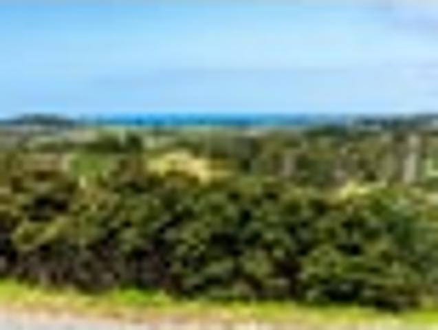 Land for sale in Northland