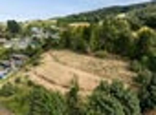 Land for sale in Otakou