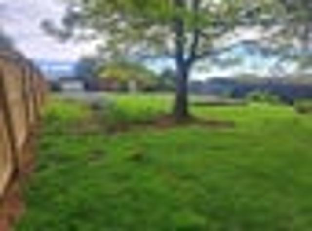Land for sale in Geraldine, Canterbury