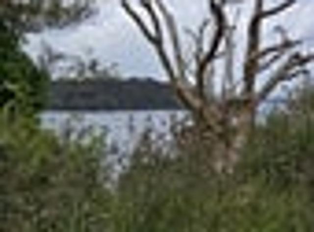 Land for sale in Oban, Southland