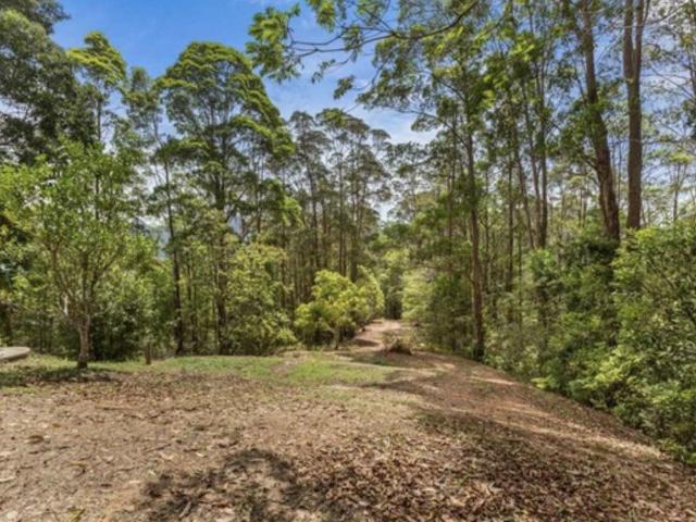 Property for sale in Rowlands Creek, New South Wales