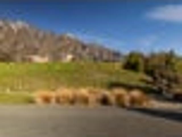 Land for sale in Otakou