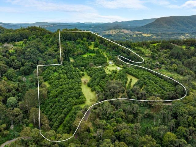 Cottage for sale in Nimbin, New South Wales