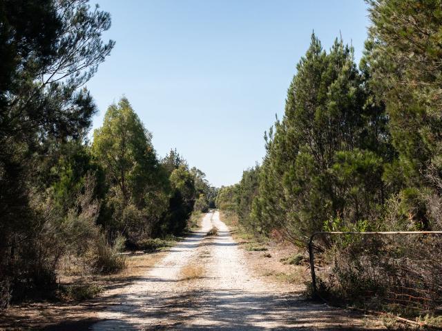 House for sale in Clarence Point, Tasmania