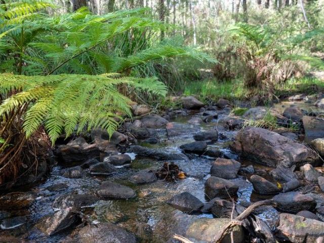 Land for sale in North Dandalup, Western Australia