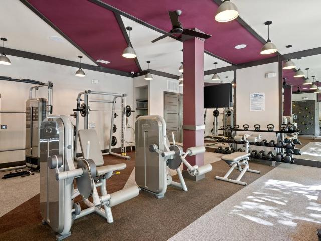 Apartment for rent in Dallas, Texas