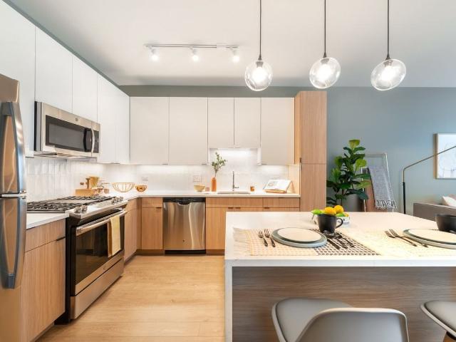 Apartment for rent in Oak Park