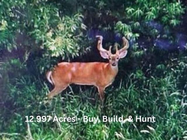Land for sale in Virginia