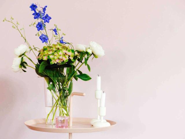 Woning te huur in Capelle Aan Den Ijssel, Zuid Holland