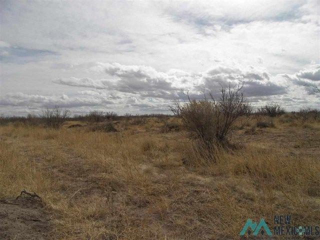 Land for sale in Luna, New Mexico