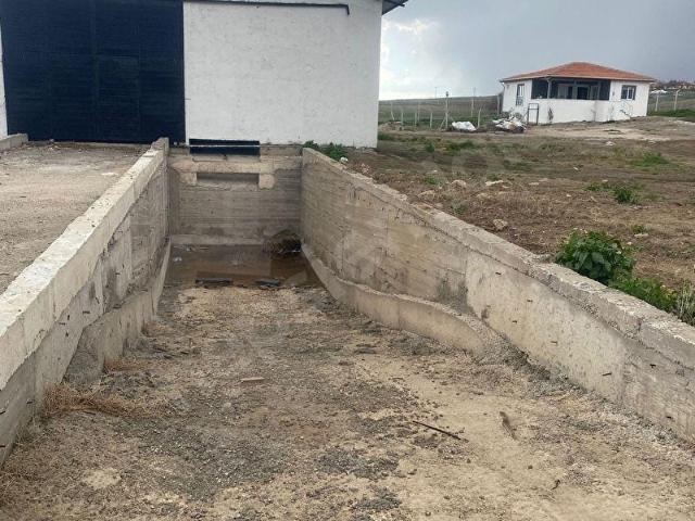 Köseli, Balâ içerisinde satılık Fabrika