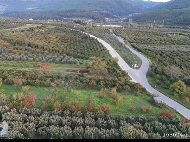 Geyve, Sakarya içerisinde satılık Arsa