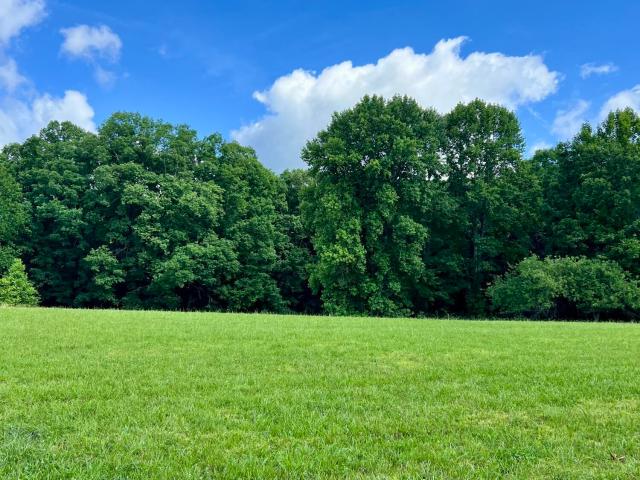 Land for sale in Tennessee