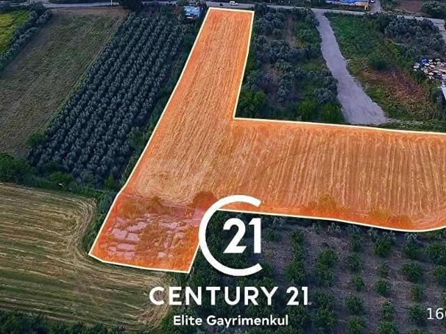 Ergenekon, Turgutlu içerisinde satılık Arsa