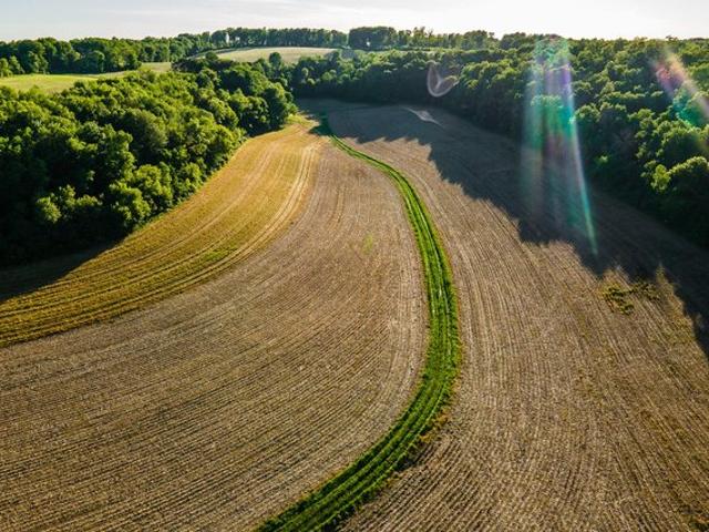 Land for sale in Westfield, Wisconsin