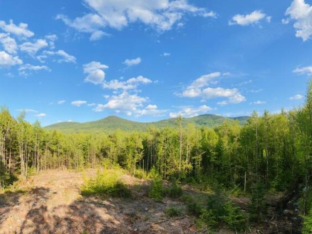 Land for sale in New Hampshire
