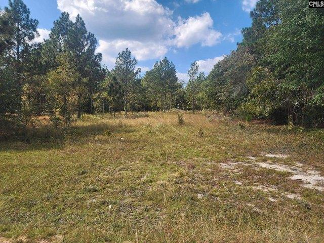 Land for sale in Pelion, Lexington County