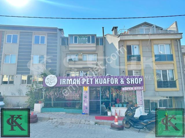 Bandirma, Balikesir içerisinde kiralık mülk
