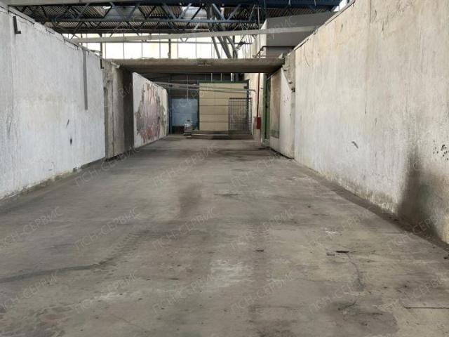 Квартира аренда в Елино, Белозерский муниципальный округ