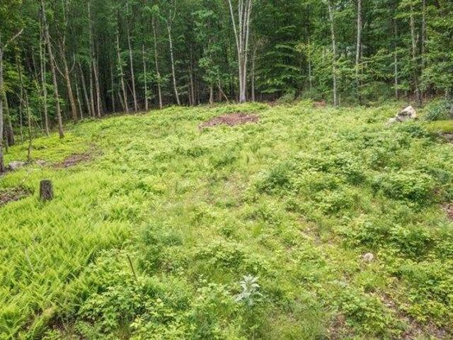 Land for sale in Eliot, Maine
