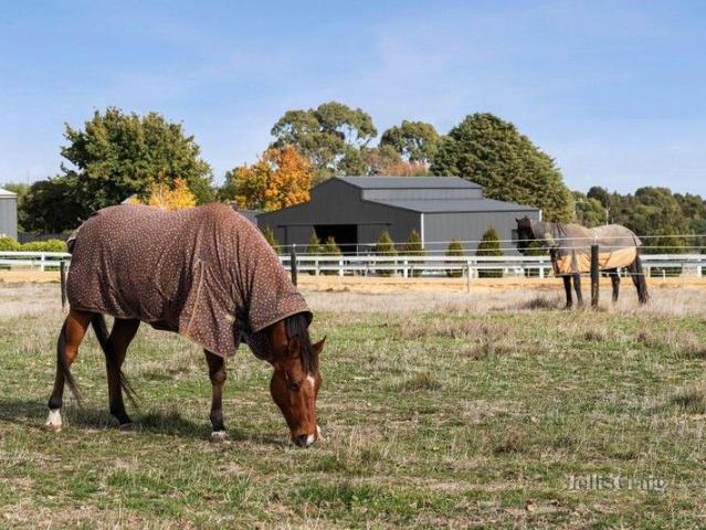 Cottage for sale in Ballarat, Victoria