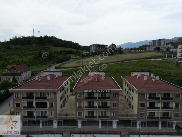 Düzce Merkez, Düzce içerisinde kiralık mülk