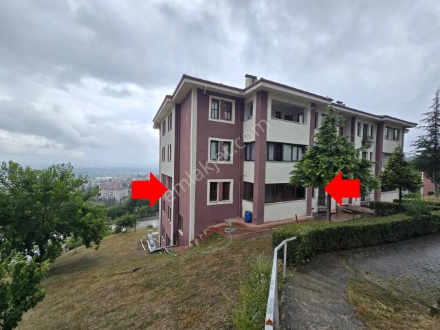 Düzce Merkez, Düzce içerisinde kiralık mülk