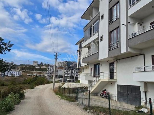 Düzce Merkez, Düzce içerisinde kiralık mülk