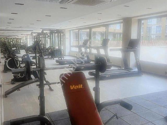 Beykoz, İstanbul içerisinde kiralık mülk