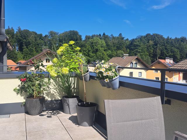 Wohnung kaufen in Elixhausen, Salzburg