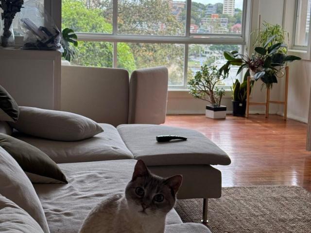 Room for rent in Sydney, New South Wales
